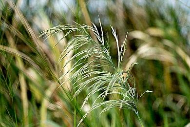 TGA 2021：最佳手游《原神》最佳原声《尼尔：伪装者》